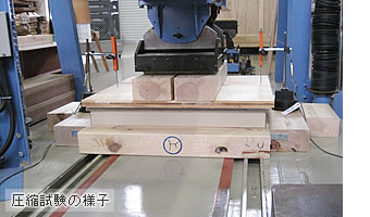 圧縮試験の様子